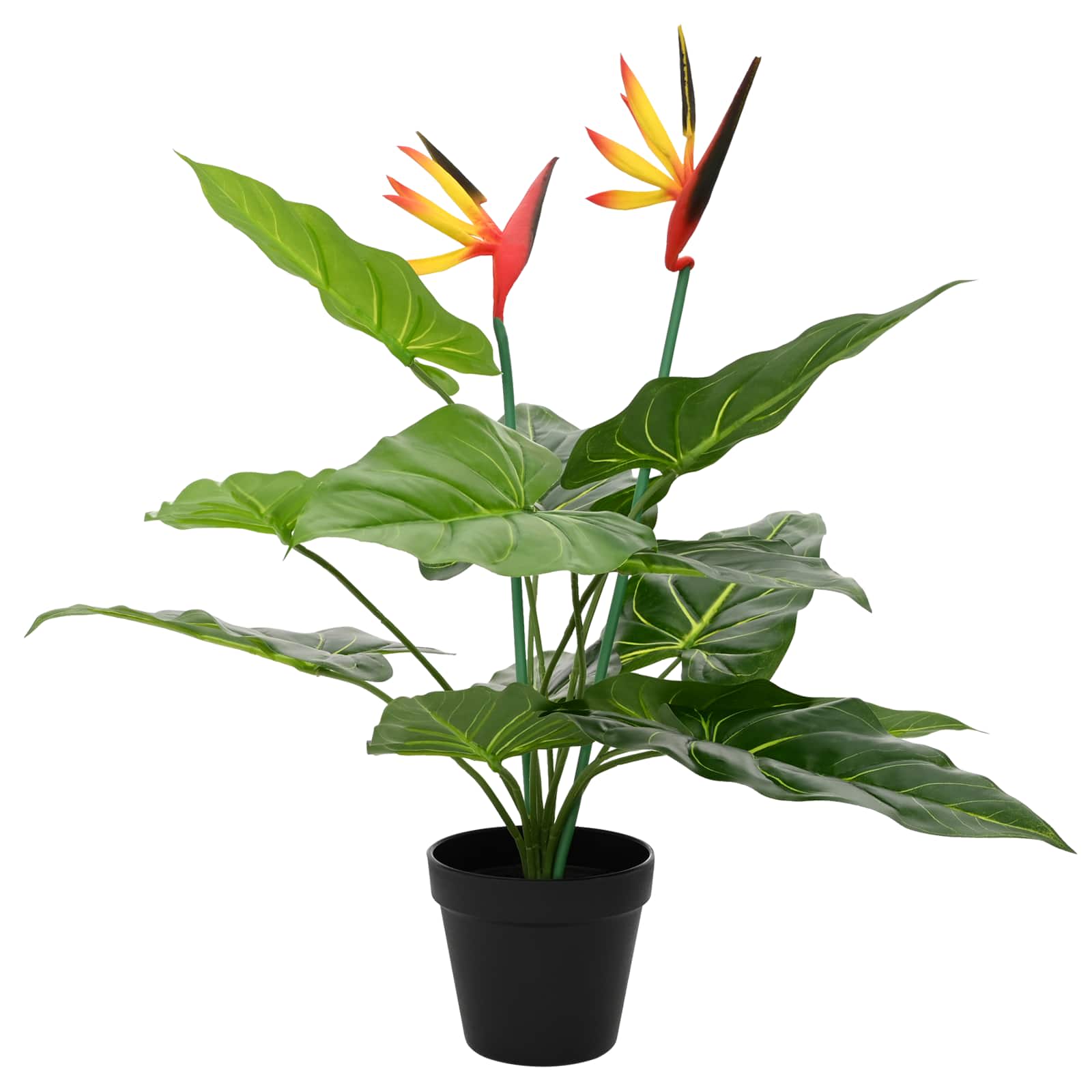Umělá Rostlina Strelitzia Zelená 65 X 13 X 55 Cm