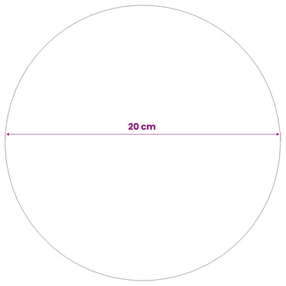 Zrcadlová Koule Ø 20 Cm Stříbrná Nerezová Ocel 201