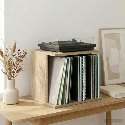 Úložiště Vinylových Desek 42 X 33 X 36 Cm Kompozitní Dřevo