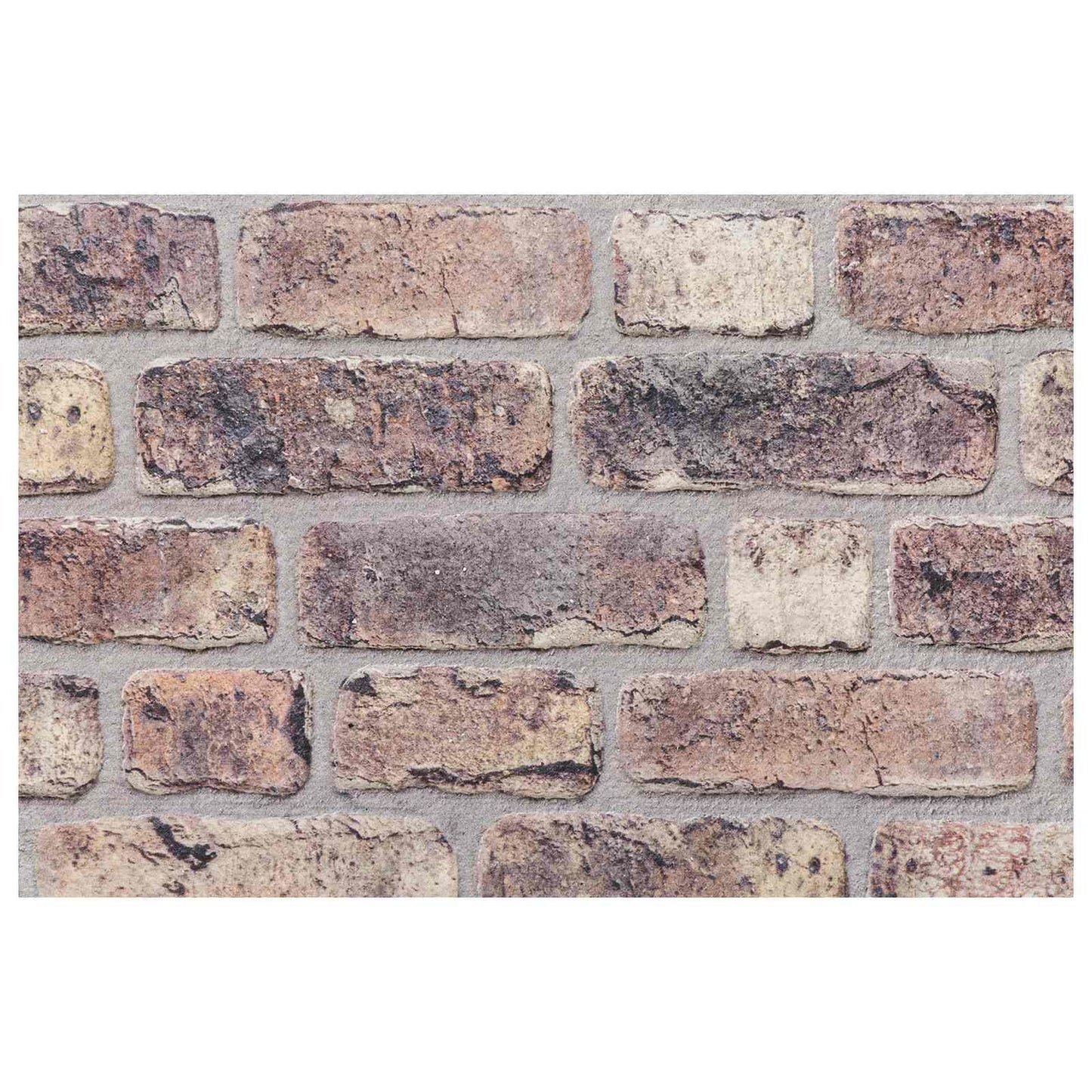 Nástěnné Panely 10 Pcs Tmavě Hnědá 100 X 50 Cm Eps Pěna