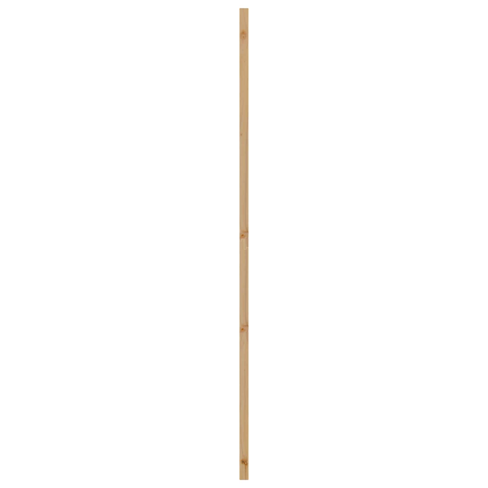 Vnitřní Dveře Přírodní 61 X 198,5 Cm Překližka
