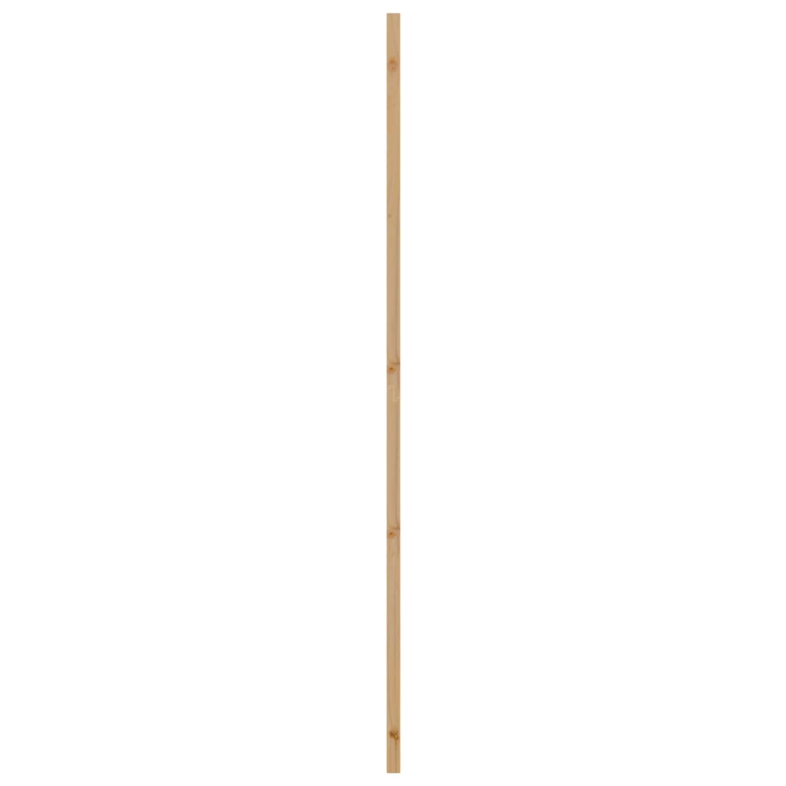 Vnitřní Dveře Přírodní 86 X 211 Cm Překližka