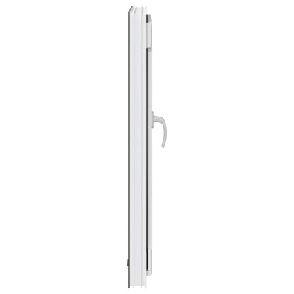 Okeno Do Suterénu Risor 60 X 100 Cm Pvc A Sklo Antracitová