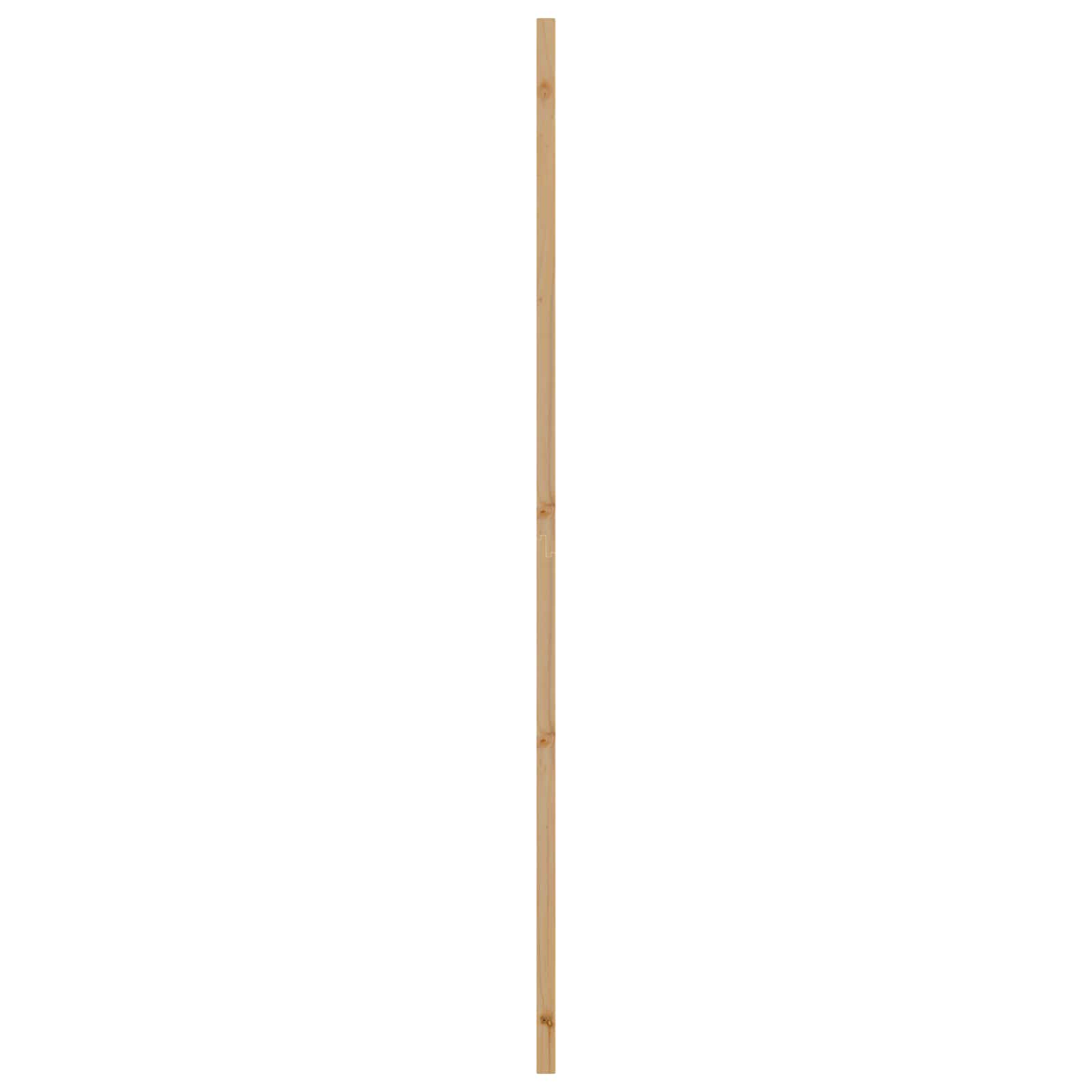 Vnitřní Dveře Přírodní 93 X 211 Cm Překližka